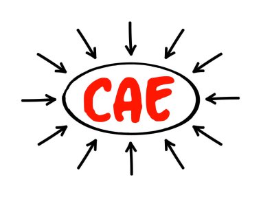 CAE - Bilgisayar Destekli Mühendislik, bilgisayar yazılımının mühendislik analiz görevlerinde ve oklu kısaltma kavramında geniş kullanımına verilen isimdir.