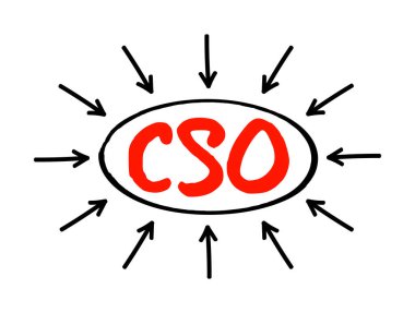 CSO Baş Strateji Subayı - yürütme, kurumsal vizyon ve stratejiyi geliştirmek de dahil olmak üzere strateji formülasyonu ve yönetiminden öncelikli sorumludur.