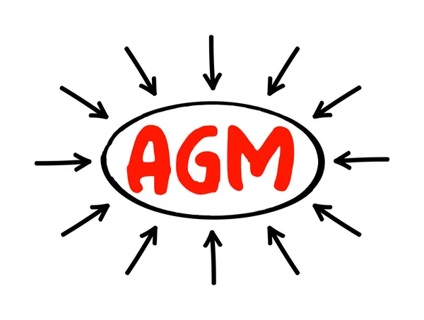 Agm Assemblea Generale Annuale Una Riunione Della Composizione Generale Organizzazione — Vettoriale Stock