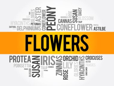 Çiçekler kelime bulut kolajı, konsept arka plan