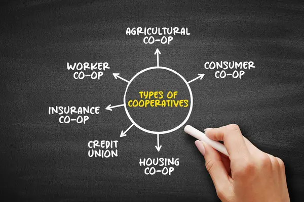 Types Cooperatives Mind Map Text Concept Presentations Reports — Stock Photo, Image
