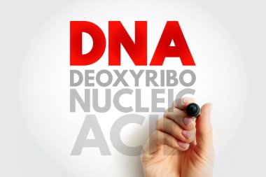 DNA Deoksiribonükleik Asit - insanlarda ve neredeyse diğer tüm organizmalarda kalıtsal madde, kısaltma metin konsepti arka planı