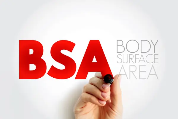 BSA Body Surface Area - measured or calculated surface area of a human body, acronym text concept background