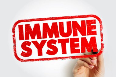 Immune System text stamp, health concept background