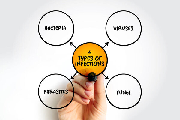 4 типа инфекций концепция текстовой карты разума для презентаций и докладов