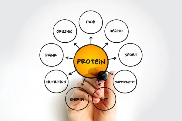 Protein are large biomolecule and macromolecule that comprise one or more long chains of amino acid residues, mind map concept background