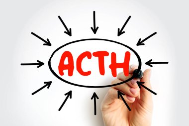 ACTH Adrenocorticotropic hormone - polypeptide tropic hormone produced by and secreted by the anterior pituitary gland, acronym text with arrows clipart