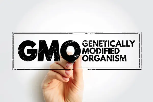 GMO - Genetically Modified Organism is any organism whose genetic material has been altered using genetic engineering techniques, acronym concept stamp