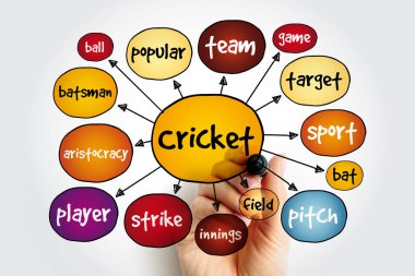 Kriket zihin haritası, sunum ve raporlar için spor konsepti