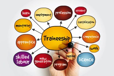 Stajyerlik zihin haritası, sunum ve raporlar için eğitim kavramı