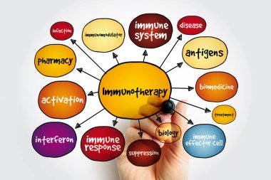 Immunotherapy mind map, concept for presentations and reports clipart