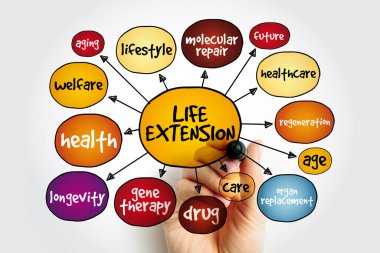 Life extension mind map, concept for presentations and reports clipart