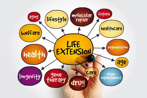 stock image Life extension mind map, concept for presentations and reports