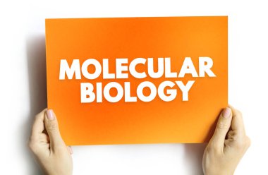 Moleküler Biyoloji - biyolojik aktivitenin moleküler temelini inceleyen biyoloji dalı, karttaki metin kavramı