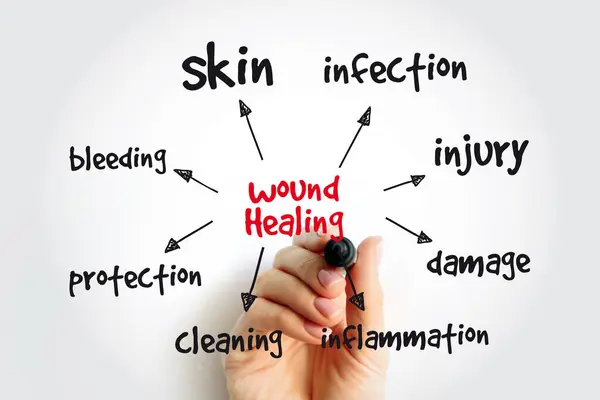 stock image Wound Healing mind map with marker, health concept for presentations and reports