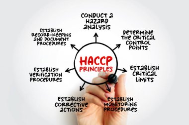 HACCP PRINCIPLES, identification, evaluation, and control of food safety hazards based on the following seven principles, mind map concept for presentations and reports clipart