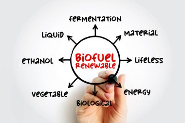 Biyoyakıt yenilenebilir - tamamen bitkisel organik maddelerden türetilmiş, sunum ve raporlar için zihin haritası kavramı
