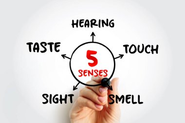 Five basic human senses: touch, sight, hearing, smell and taste,  mind map concept for presentations and reports