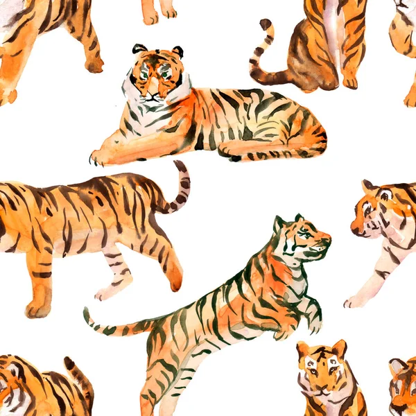 Wzór Akwarela Wildcat Tygrys Białe Tło — Zdjęcie stockowe