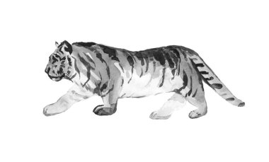 White tiger hand painted watercolor illustration isolated