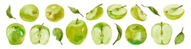 Hand-drawn watercolor illustration set of the green apples fruits. Food drawing isolated on the white background.