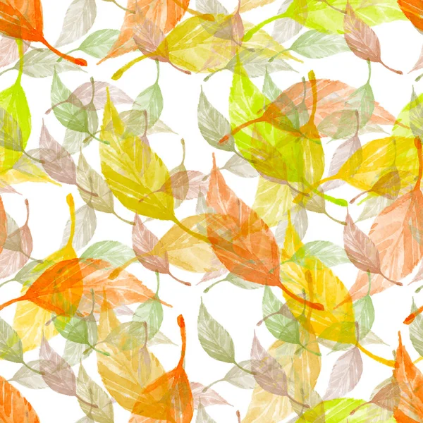 葉と夏のシームレスなパターン — ストック写真