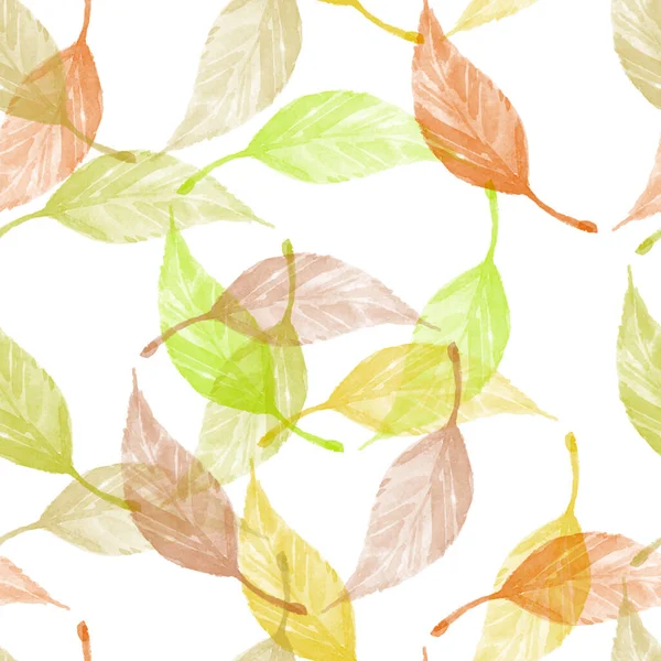 Autumn Leaves Pattern White Background — Stock Photo, Image