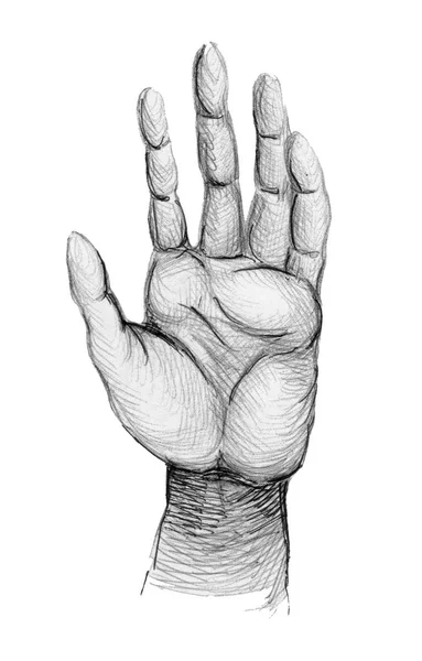 Χέρι Σχέδιο Χέρι Σκίτσο Μαύρο Σχέδιο Εικονογράφηση — Φωτογραφία Αρχείου