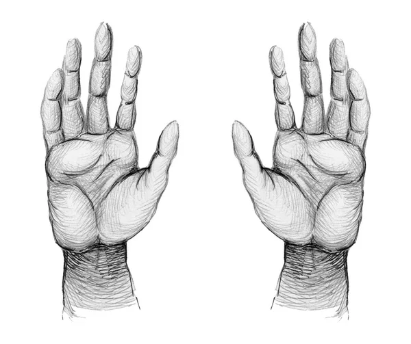 Handabdruck Set Isoliert Auf Weißem Hintergrund Schwarze Farbe Menschliche Hände — Stockfoto