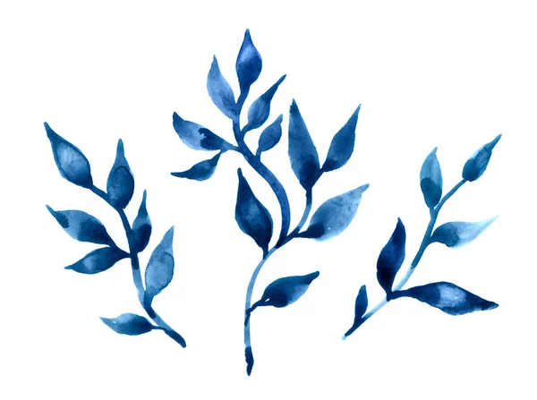 Három Rejtélyes Kék Levelekkel Fehér Alapon Elszigetelve Kézzel Rajzolt Illusztráció — Stock Fotó