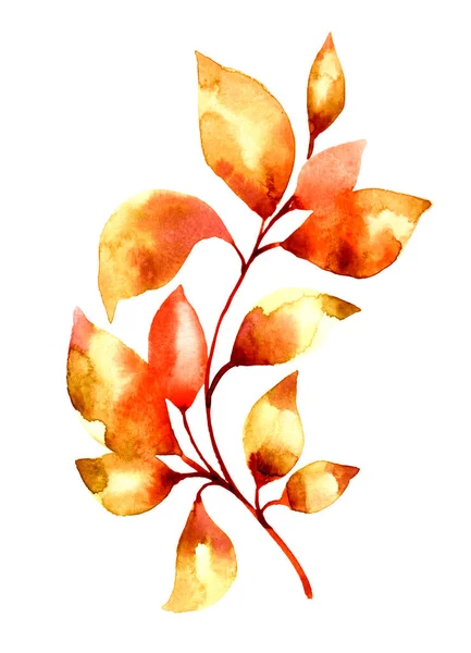 黄金の秋の枝水彩イラスト 手描きブナの木の葉 ホワイトで隔絶された秋のアートワーク — ストック写真