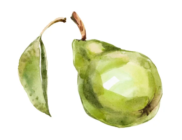 Photoshopで描かれ処理された緑の梨の水彩手 — ストック写真