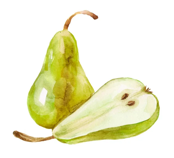 水色の緑の梨 2つの梨の果物 全体の半分 現実的な植物の花の組成 白の孤立したイラスト 手描きエキゾチックな食品デザイン要素 — ストック写真