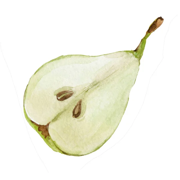 梨のカット 水彩手描きイラスト — ストック写真