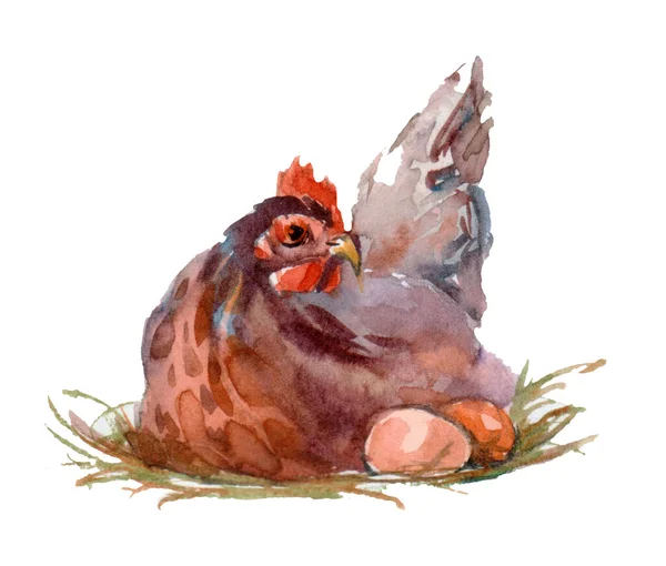 Suluboya Kartpostal Sevimli Tavuk Yumurtadan Çıkıyor — Stok fotoğraf
