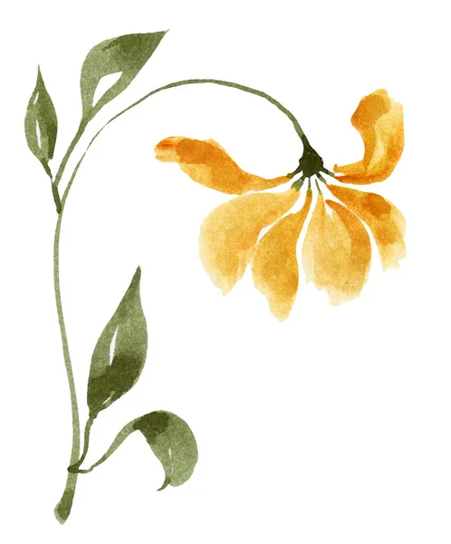 Желтый Цветок Акварель Белом — стоковое фото
