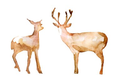 Two forest deer isolated on white background. Watercolor illustration, hand drawing. Childish, cute, cartoon illustration with animals. clipart