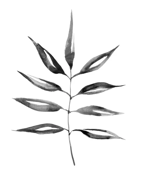 Feuilles Bambou Croquis Aquarelle Graphiques Monochrome Bitmap Verts Noir Blanc — Photo