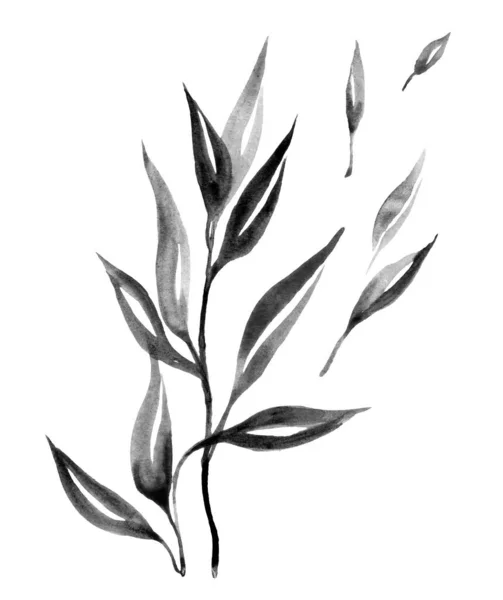 白い背景に描かれた黒い水彩の熱帯の葉の手描きのシルエット — ストック写真