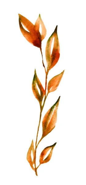수채화 꽃꽂이가 흰색으로 부르군 나뭇잎 잔가지 — 스톡 사진