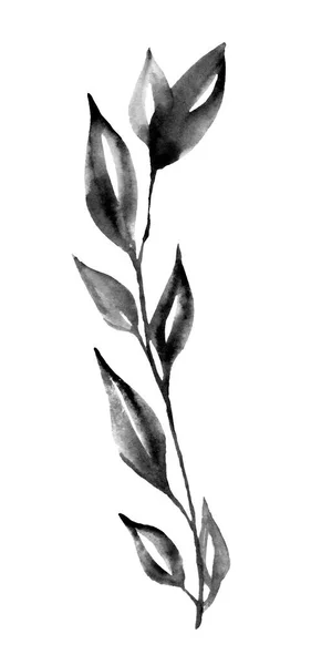 Branch Leaves Black White Illustration — Stock Photo, Image