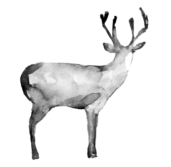 黒と白の水彩鹿の頭 — ストック写真