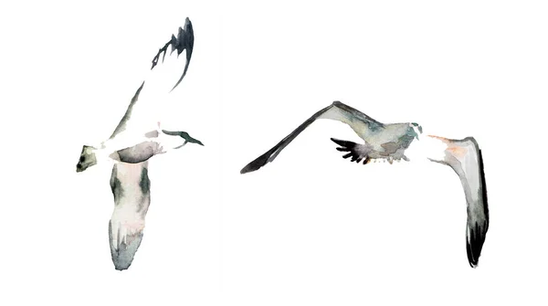 Beyaz Martı Seti Deniz Kuşlarının Suluboya Çizimi Tahsilat Adası Gökyüzünde — Stok fotoğraf