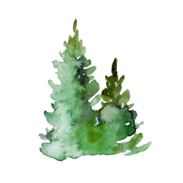 Obraz Świerków Ręka Małe Drzewo Sosny Malowane Akwareli — Zdjęcie stockowe