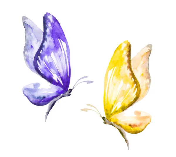 Kolorowe Motyle Żółty Niebieski Ręcznie Rysowane Ilustracja Akwarela Odizolowany Białym — Zdjęcie stockowe
