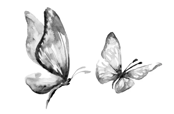 Aquarel Geïsoleerde Twee Vlinders Groot Klein Kleurloos Zwart Wit Omtrek — Stockfoto