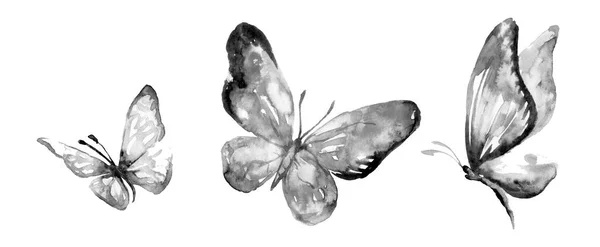 Drie Grote Vlinders Witte Achtergrond Traditionele Oosterse Inkt Schilderen Sumi — Stockfoto