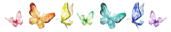 Collection Watercolor Flying Butterflies — Stock Photo, Image