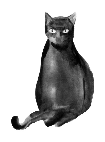 Kara Kedi Hayvanı Suluboya Çizimi Çizimi Koyu Tüylü Evcil Komik — Stok fotoğraf