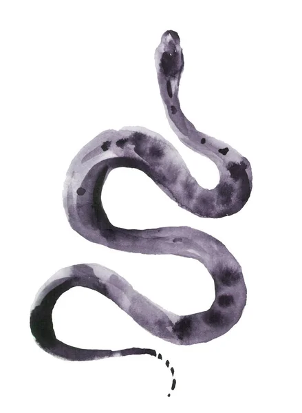黑蛇毒蛇爬行动物动物 水彩画实例 — 图库照片